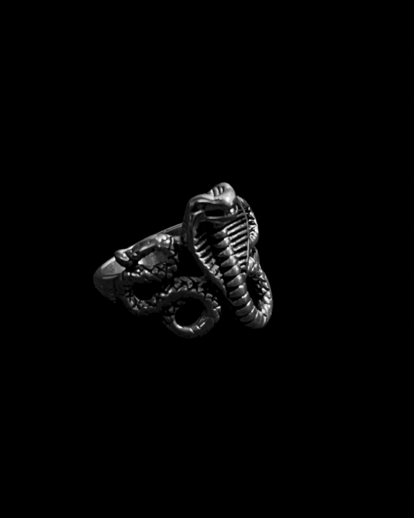 Anillo Serpiente Cobra